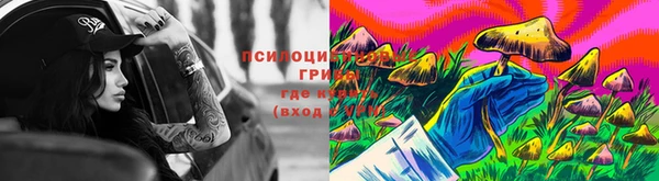 скорость Лагань