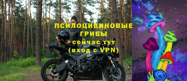 трава Лабытнанги