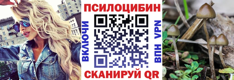 Купить закладки  Бирск  Псилоцибиновые грибы мухоморы 